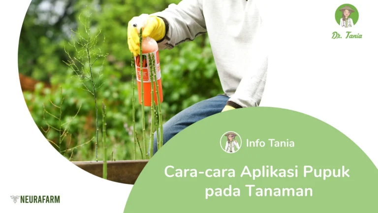 Menyusun Rencana Pemupukan yang Tepat