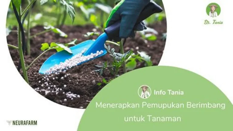 Menyusun Rencana Pemupukan yang Tepat