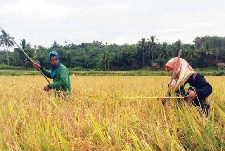 Meretas Masa Depan Agribisnis Melalui Penyuluhan Berkelanjutan