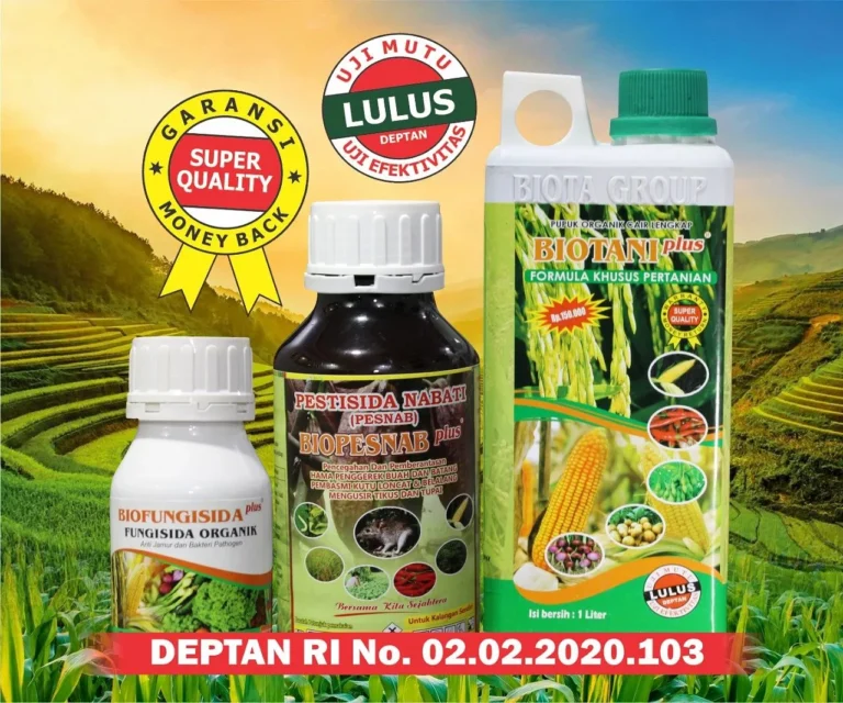Metode Penyaringan dan Seleksi Benih yang Baik