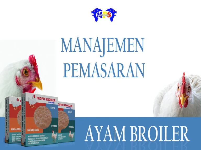 Optimasi Pemasaran Online
