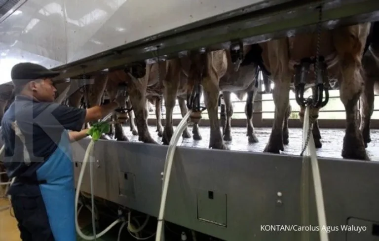 Peluang dan Tantangan Agribisnis Susu Kambing di Masa Depan