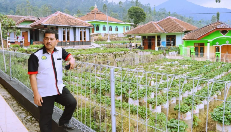 Peluang dan Tantangan di Agribisnis Jamur