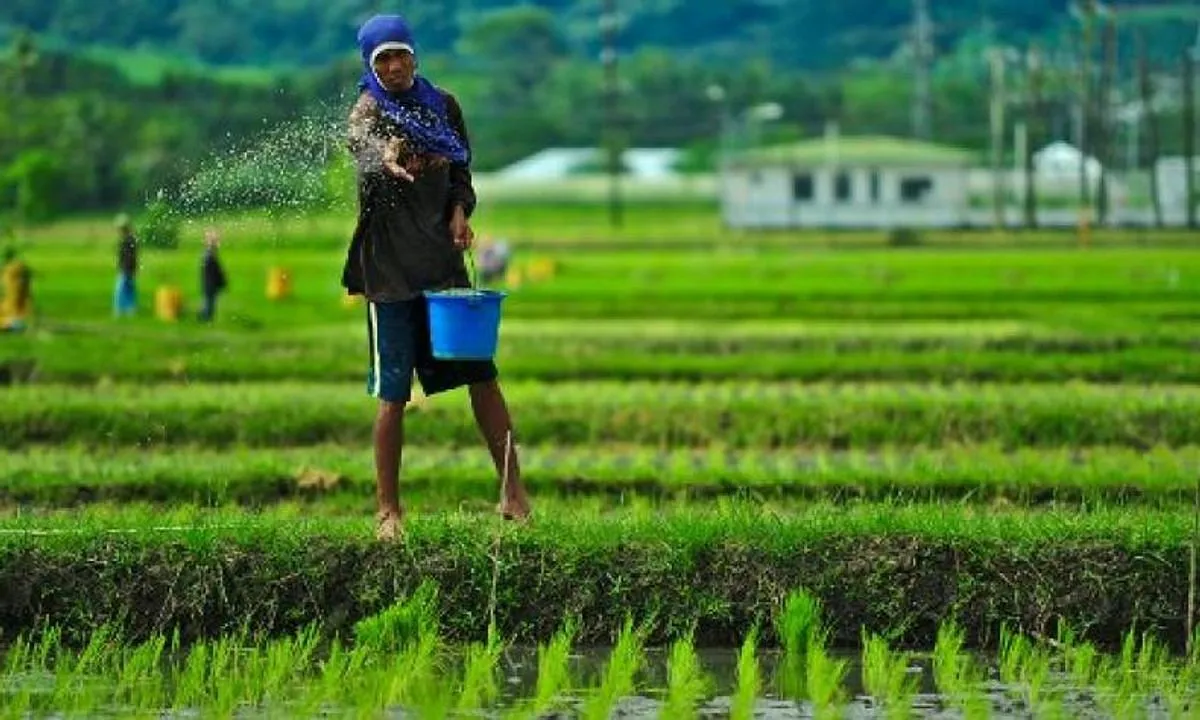 Peluang Investasi di Sektor Agribisnis