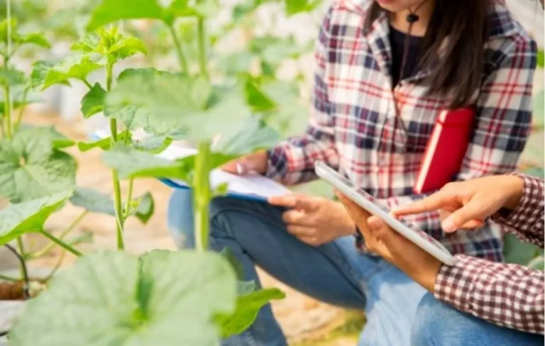 Peluang Karir dalam Agribisnis