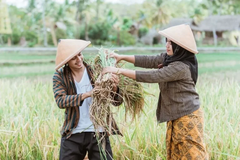 Peluang Karir di Bidang Agribisnis
