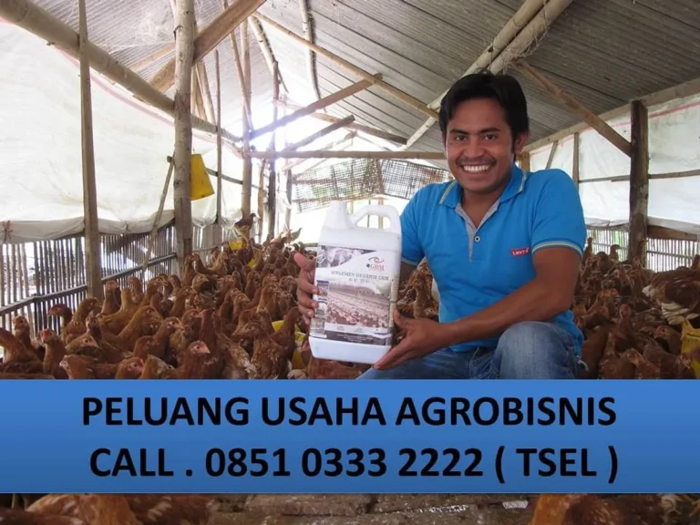 Peluang Usaha Agribisnis Modal Kecil