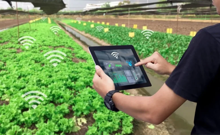 Pemanfaatan Data Big Data dalam Agribisnis: Transformasi Revolusioner Pertanian