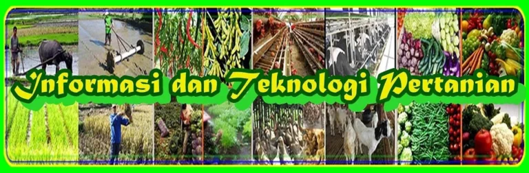 Pemanfaatan Teknologi Satelit dalam Pertanian