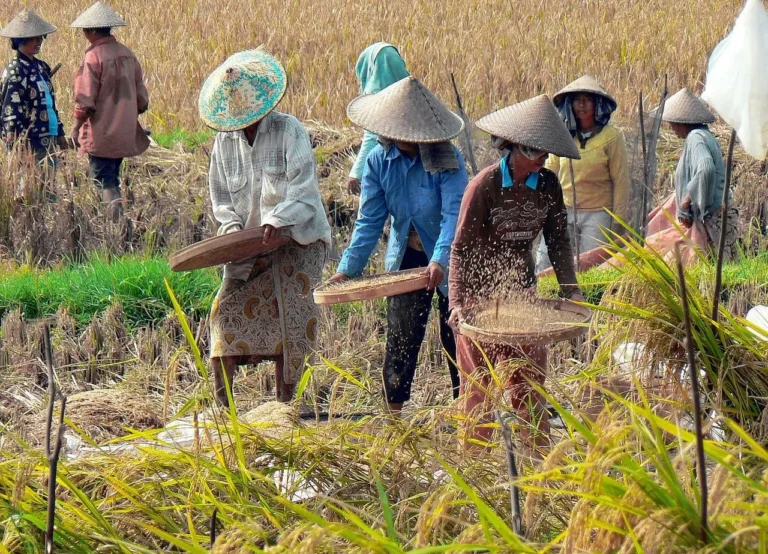 Pemberdayaan Wanita Melalui Koperasi Agribisnis