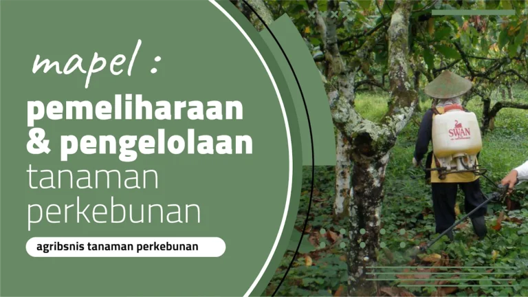 Pemeliharaan Tanaman untuk Memaksimalkan Kualitas Benih