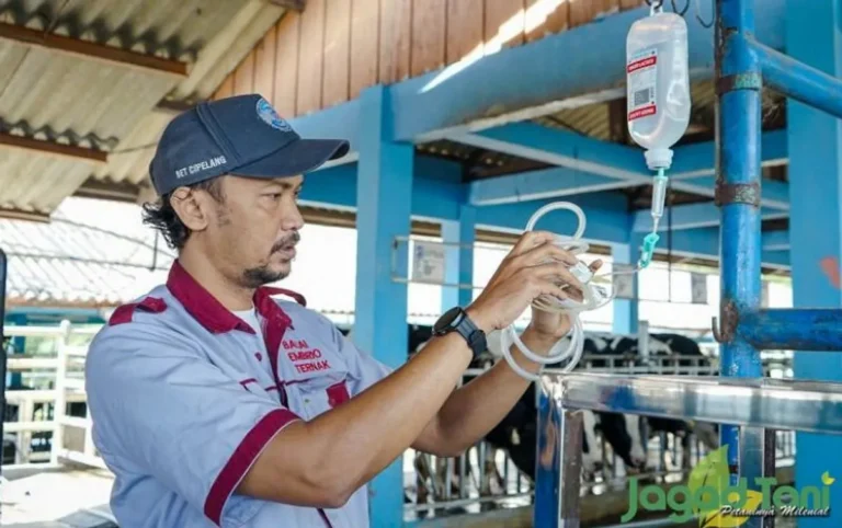 Pemuliaan dan Perkembangbiakan