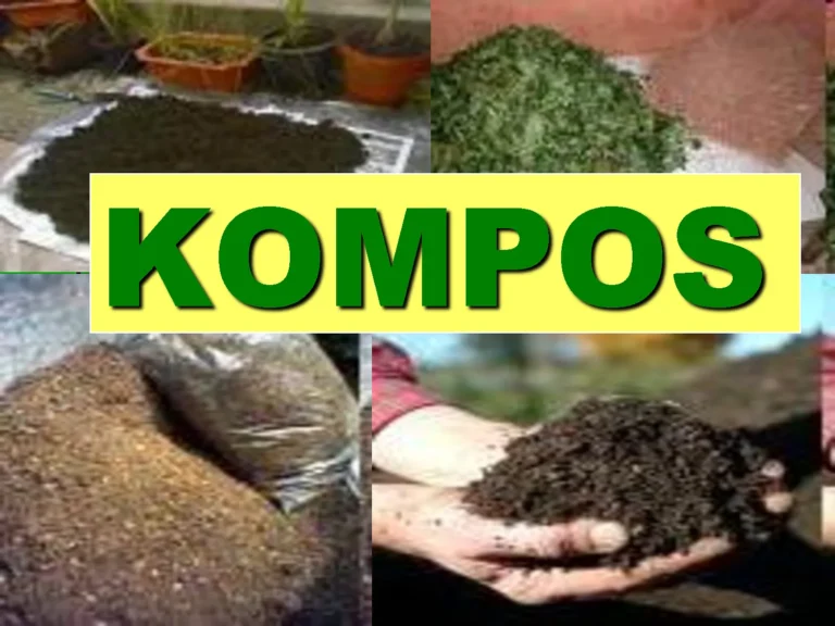 Penerapan Keberlanjutan dalam Agribisnis Tanaman