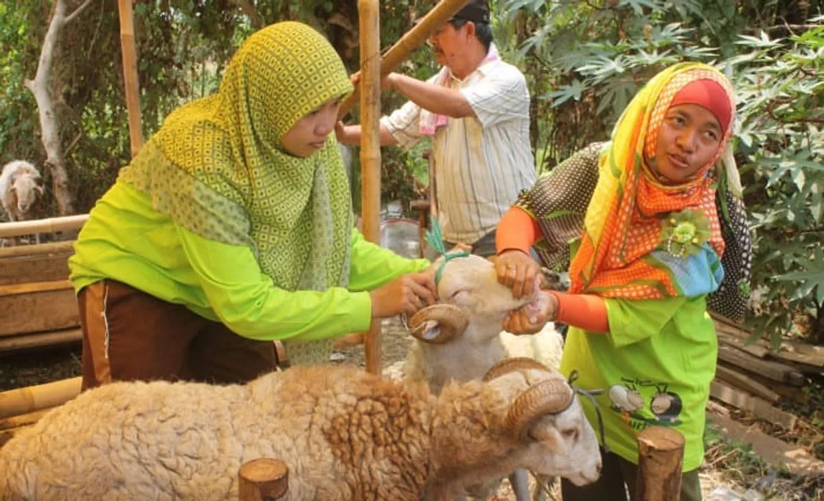 Pengelolaan Kesehatan dan Kebersihan