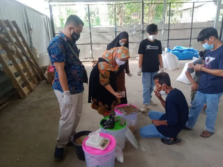 Pengelolaan Limbah Ternak Ramah Lingkungan