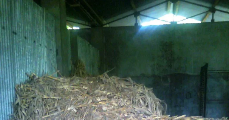 Pengelolaan Pakan dan Gizi