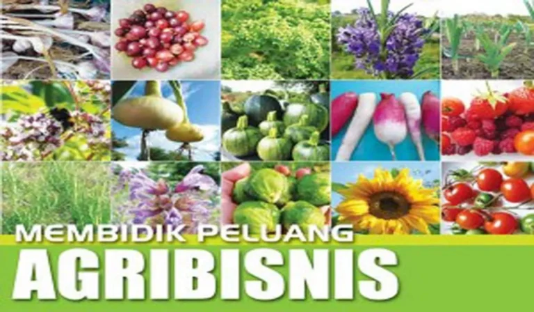 Pengelolaan Usaha Agribisnis yang Sukses