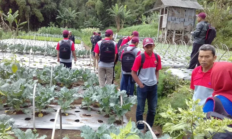 Pengembangan Agribisnis Berkelanjutan