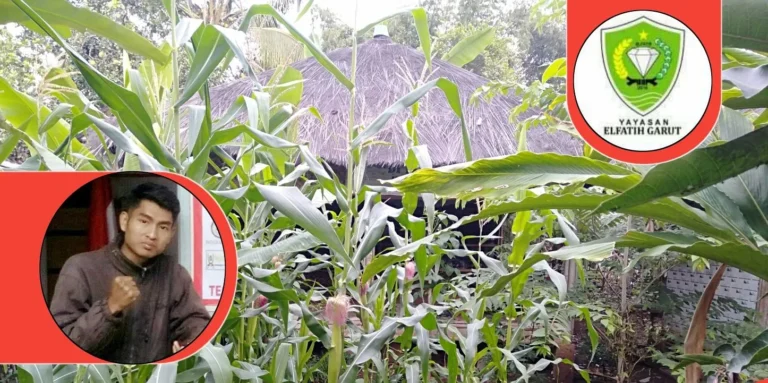 Pengembangan Agribisnis Jamur Berkelanjutan