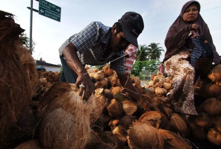 Pengembangan Pasar dan Pemasaran Kelapa