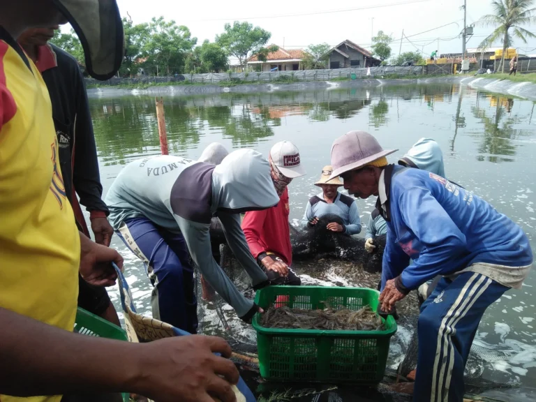 Pengembangan Usaha dan Keberlanjutan