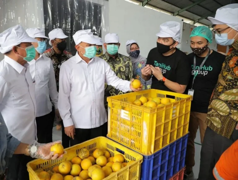 Pengenalan Koperasi dan Kemitraan Agribisnis