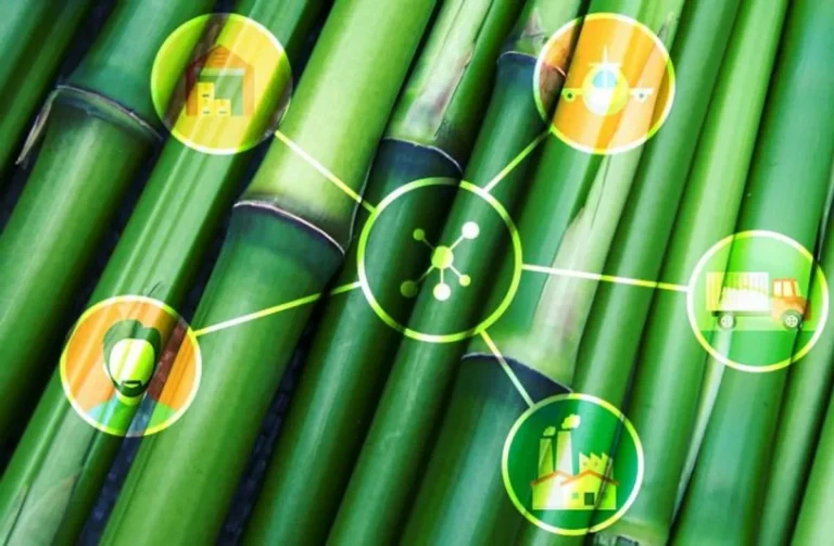 Peningkatan Produktivitas Bambu melalui Teknologi