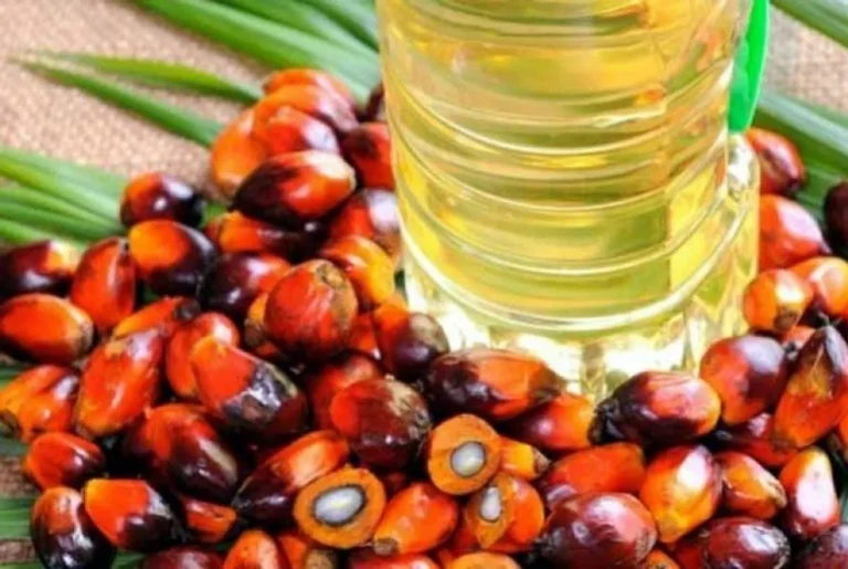 Peningkatan Produktivitas Kelapa Sawit dalam Agribisnis