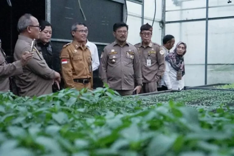 Peningkatan Produktivitas Tanaman Bawang Putih dalam Agribisnis