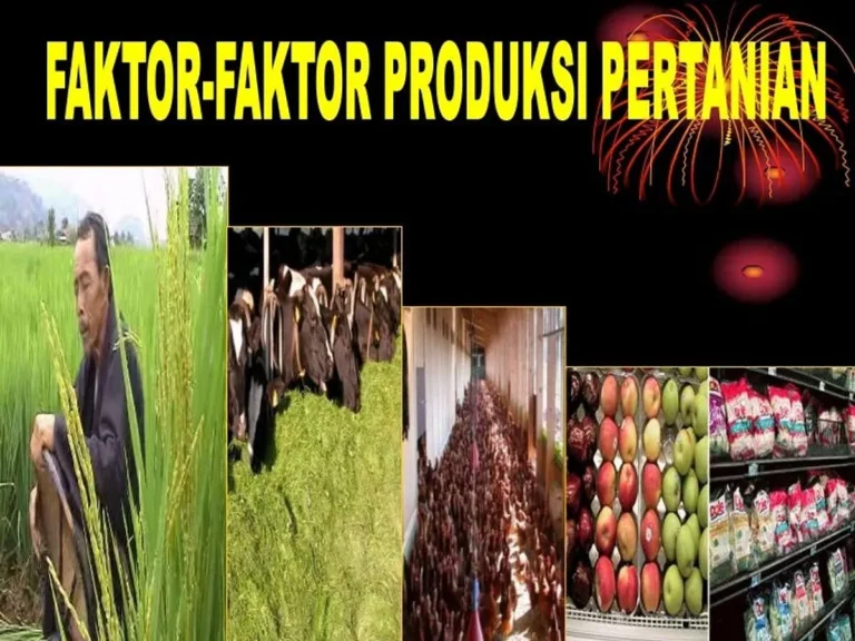 Pentingnya Tanah dalam Pertanian