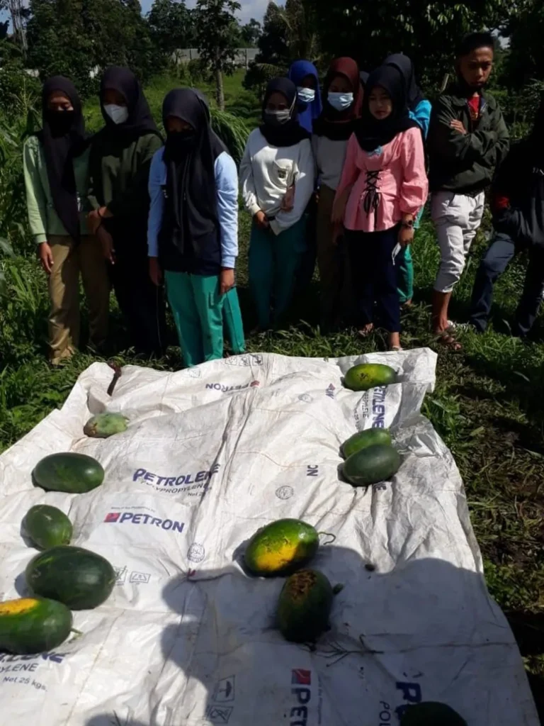 Peran Agribisnis dalam Keberlanjutan