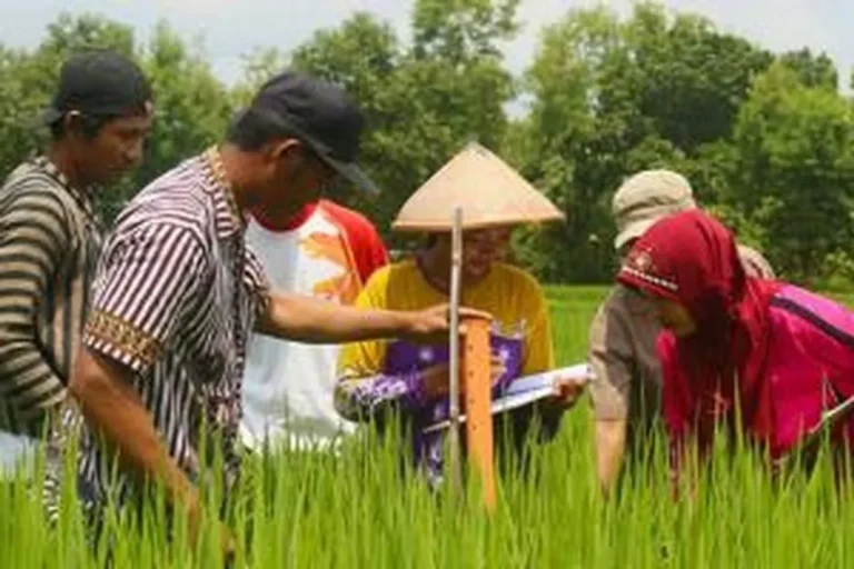 Peran Agribisnis dalam Mendorong Inklusi Sosial