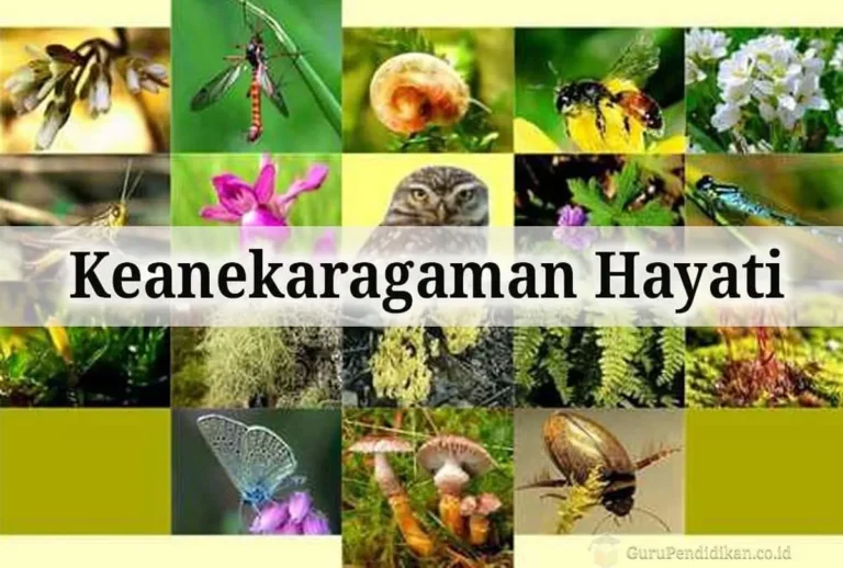 Peran Agribisnis dalam Pelestarian Keanekaragaman Hayati