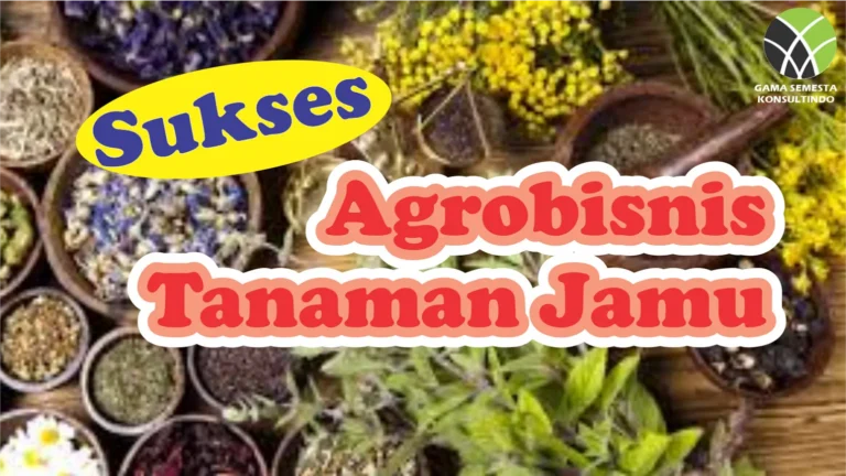 Peran Agribisnis dalam Pengembangan Tanaman Bahan Pewarna Alami