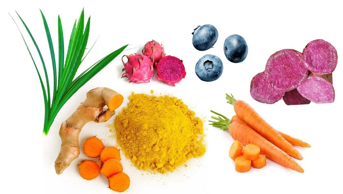 Peran Agribisnis dalam Pengembangan Tanaman Bahan Pewarna Alami