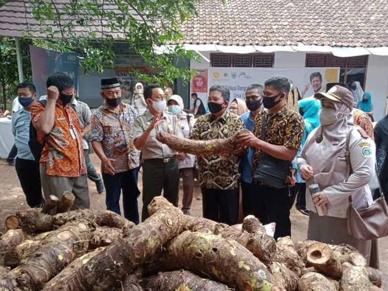 Peran Agribisnis dalam Pengembangan Tanaman Cengkeh