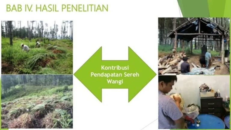 Peran Agribisnis dalam Pengembangan Tanaman Sereh Wangi