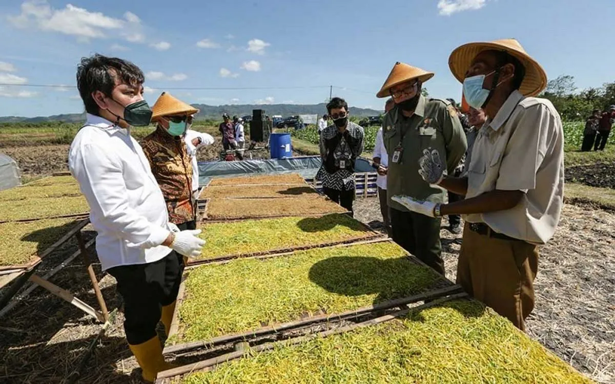 Peran Agribisnis dalam Pengentasan Kemiskinan