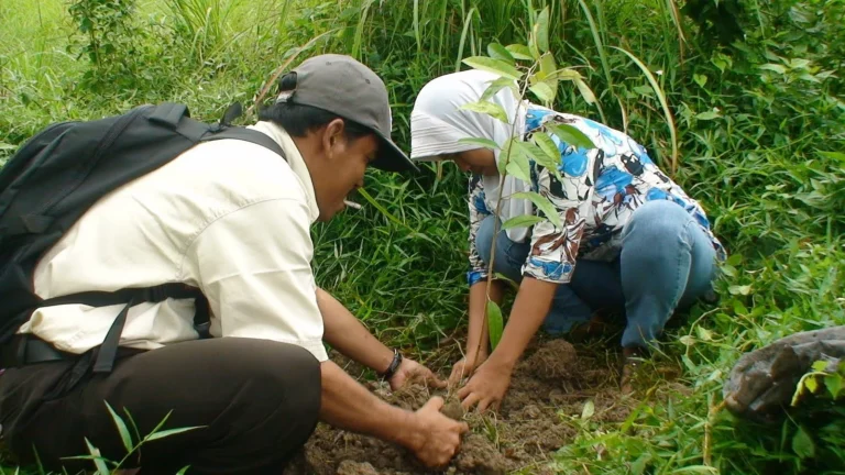 Peran Masyarakat dalam Pelestarian Hutan