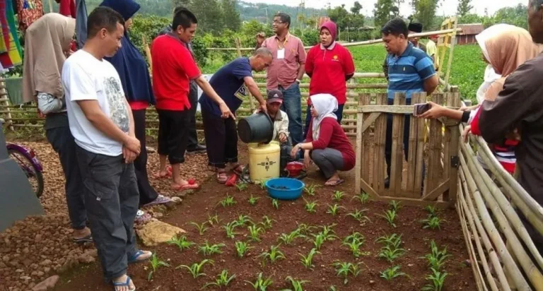 Peran Pemerintah dalam Mendukung Keberlanjutan Agribisnis