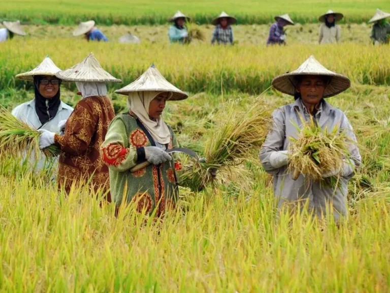 Peran Pemerintah dan Organisasi Internasional
