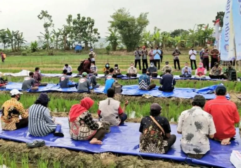 Peran Petani dalam Agribisnis Bawang Merah