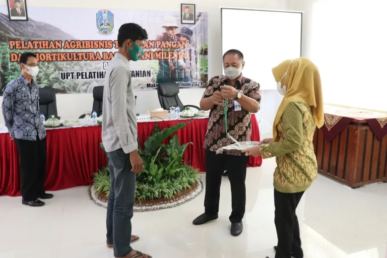 Peran Petani dalam Agribisnis Tanaman Obat