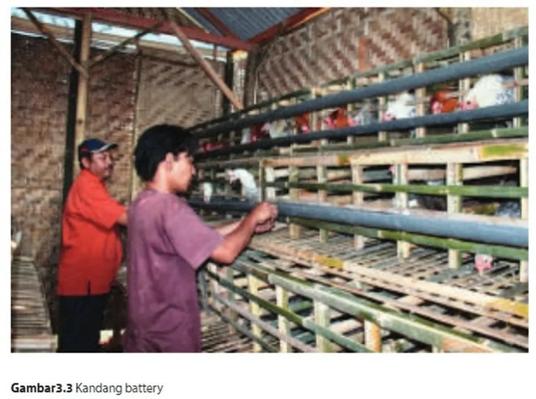 Perangkat dan Perlengkapan yang Dibutuhkan