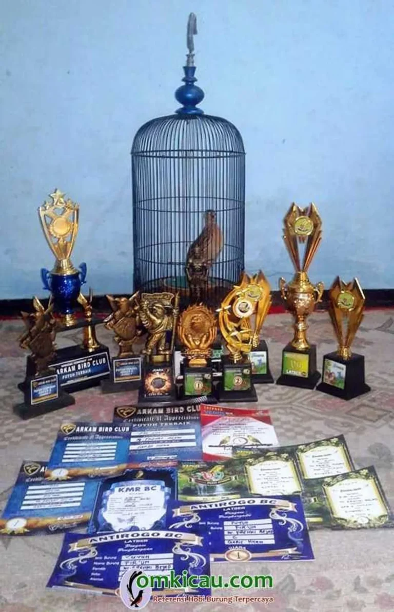 Perawatan Harian Burung Puyuh