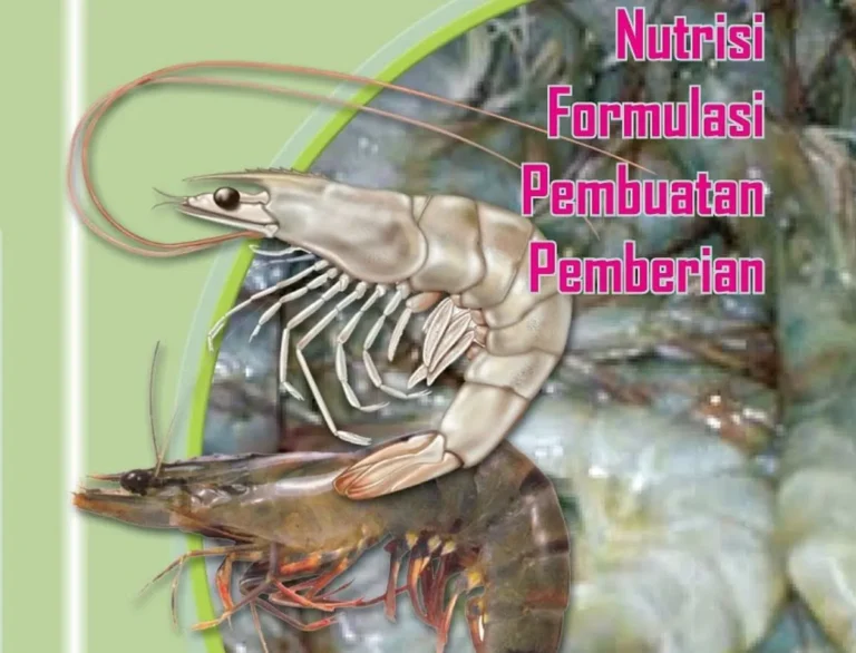 Perawatan Harian untuk Sukses Ternak Udang