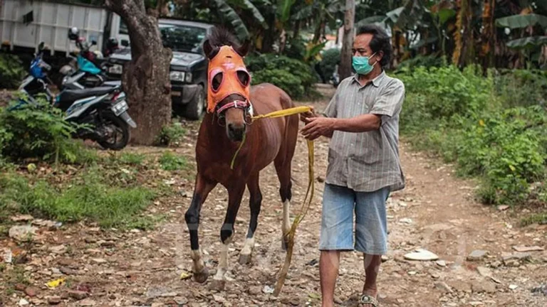 Perawatan Kesehatan Rutin dan Pencegahan Penyakit