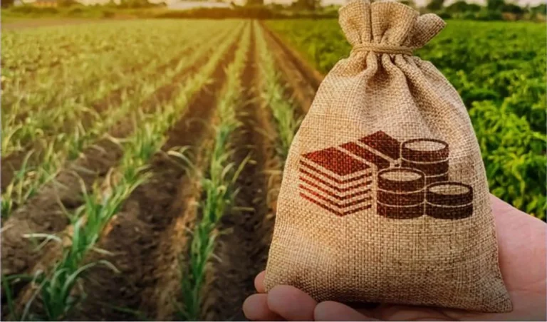 Perbedaan Agrobisnis dan Agribisnis