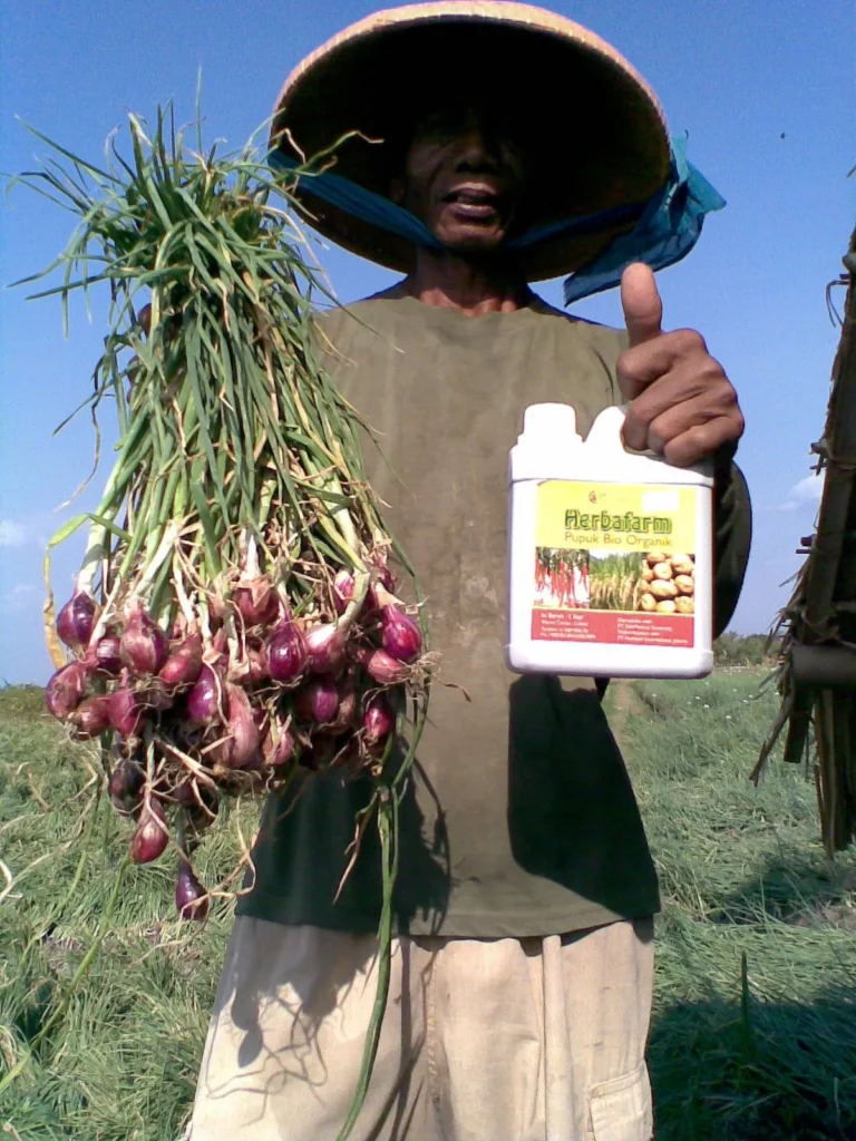 Perbedaan Agrobisnis dan Agribisnis