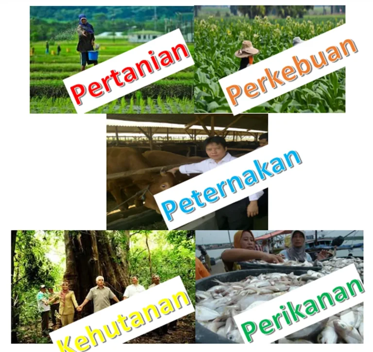 Perbedaan Mendasar Agribisnis dan Agrobisnis